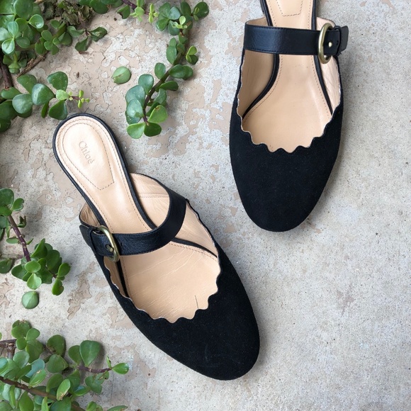 chloe lauren mules